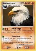 Bald eagle