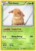 Cute Bunny Cute Bunny