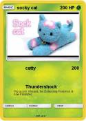 socky cat