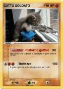 GATTO SOLDATO