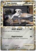 Deer Hunter