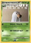RAYMONDTHEDOG