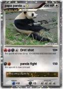 papa panda