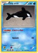 Tiny orca