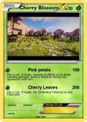 Cherry Blossom