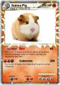 Guinea Pig