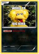 Big bird