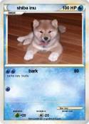 shiba inu