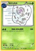NUCLEUS NUCLEUS