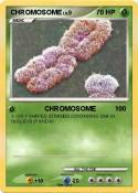 CHROMOSOME