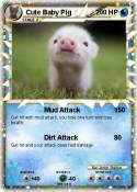 Cute Baby Pig
