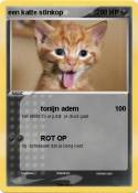 een katte