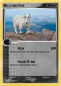 Mountain Goat