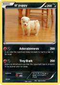 lil' puppy