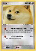 Doge Doge