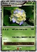 flower of love
