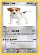 BEAGLE BALL