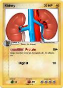 Kidney