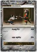 Kung FU cats Kung FU cats