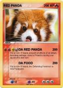RED PANDA