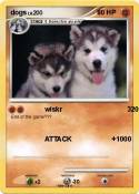 dogs