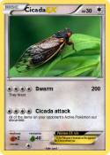 Cicada
