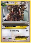Cicada