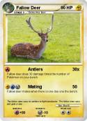 Fallow Deer