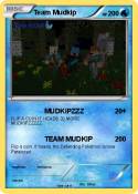 Team Mudkip