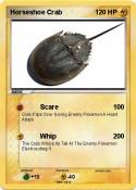 Horseshoe Crab