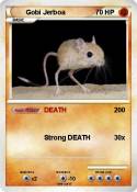 Gobi Jerboa