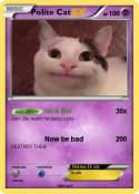 Polite Cat