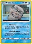 Sam a choo