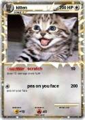 kitten
