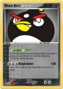 Black Bird