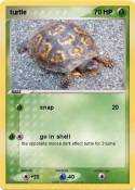 turtle