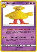 Big bird