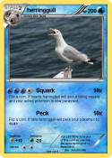 herringgull