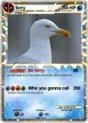 Terry