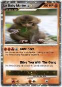 Le Baby Monke