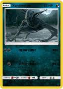 Xenomorph