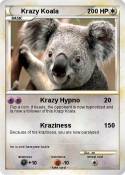 Krazy Koala