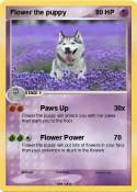 Flower the