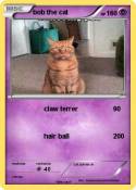 bob the cat