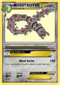 DESTROYER
