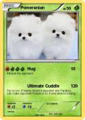 Pomeranian