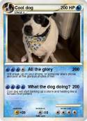 Cool dog