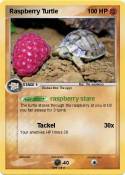 Raspberry Turtle Raspberry