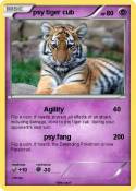 psy tiger cub