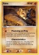 Puma